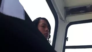 Шаргал нь шил хараацайнуудын хойлог pov