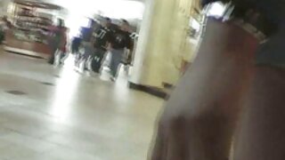 Дотор булэг