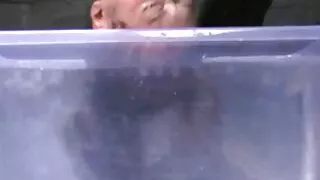 Hottie бүх fours массаж grinds мастер нимгэн хойлог pussy